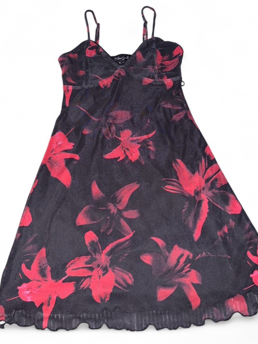 Streetwear Society Red Romantic Goth Floral Mesh Mini Dress